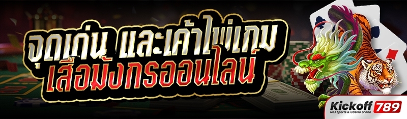 จุดเด่น และเค้าไพเกมเสือมังกรออนไลน์ 